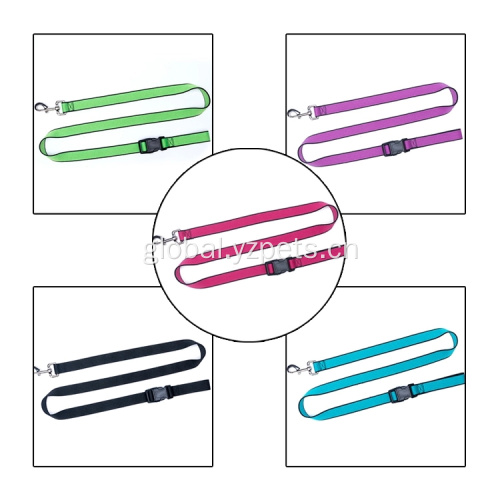 China New Colorful Reflective Pet Dog Leash Factory